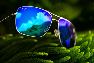 What Are Polarised Sunglasses And How Do They Work