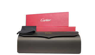 Cartier CT0034S - 005